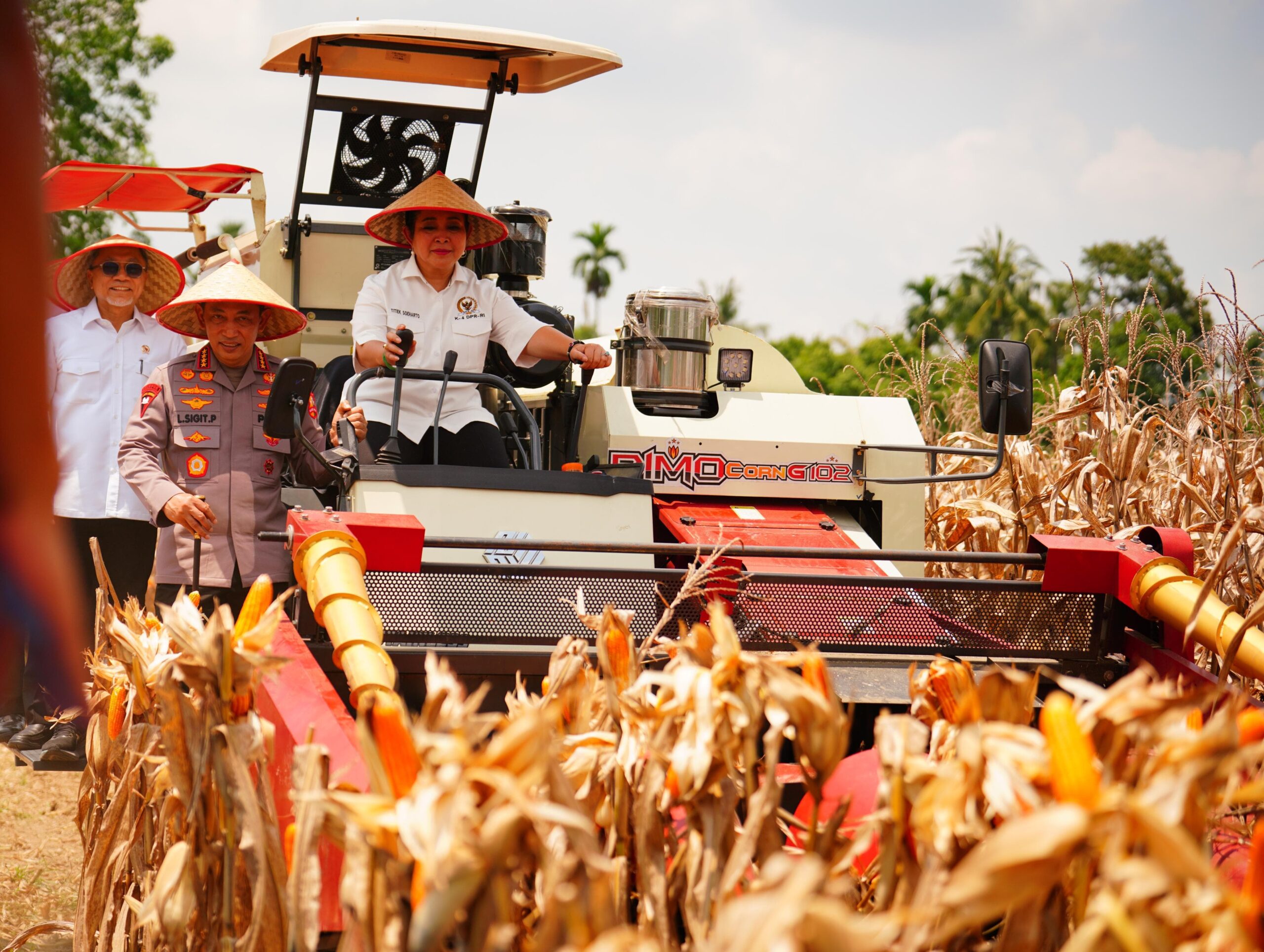 Kapolri Pimpin Panen Raya Jagung, Tegaskan Komitmen Indonesia Lumbung Pangan Dunia