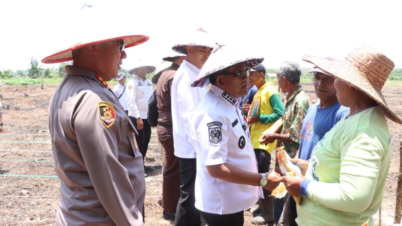 Polres HSU Bersama Forkopimda Tanam Jagung Serentak Kuartal IV, Wujudkan Swasembada Pangan Nasional