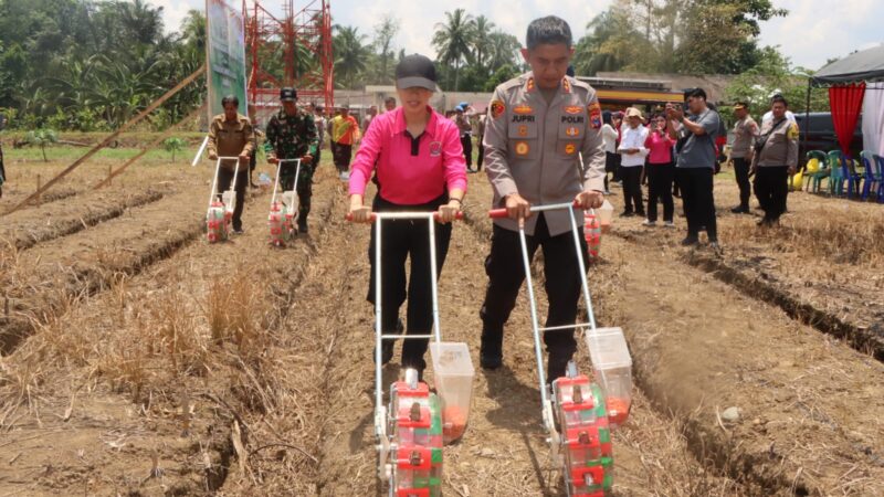 Mendukung Program Ketahanan Pangan Nasional,Polres Hulu Sungai Tengah Polda Kalsel Menanam Jagung Serentak Kuartal IV Tahun 2025