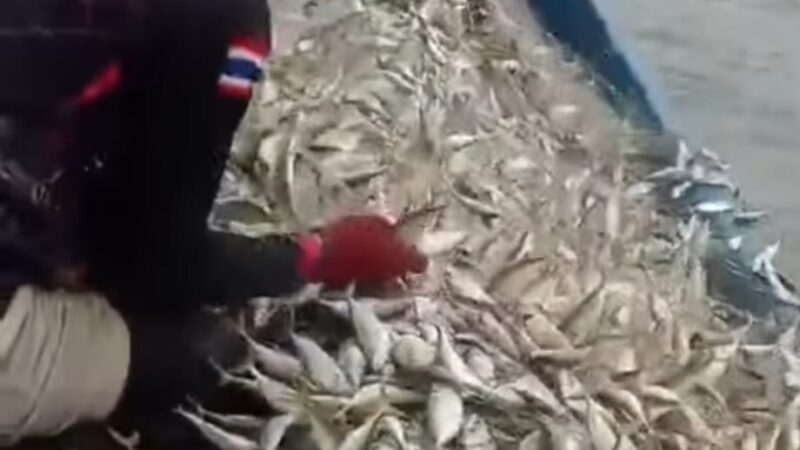 Pelindo Regional 1,Bawa Harapan Baru Bagi Nelayan Batu Bara