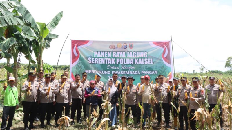 Polda Kalsel Beserta Jajaran, Lakukan Panen Raya Jagung Serentak 
