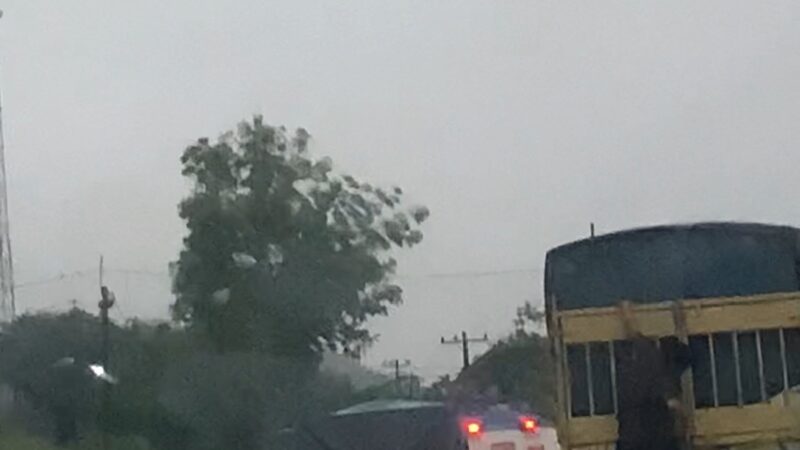 Aksi Bajing Lompat di Jalinsum Siamporik,Viral di Medsos