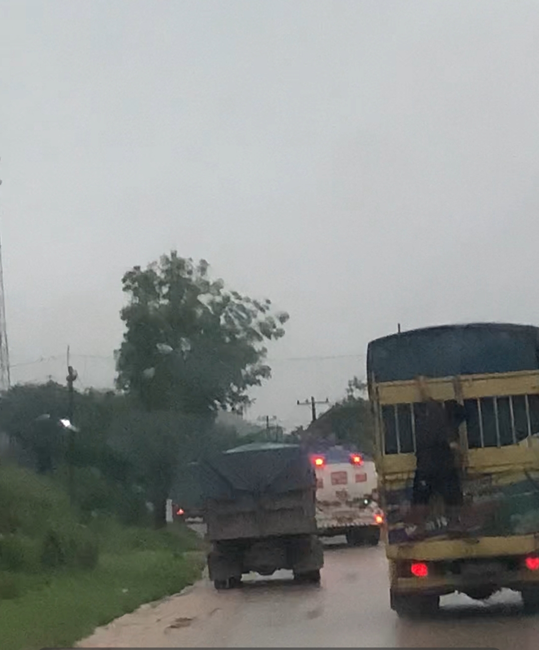 Aksi Bajing Lompat di Jalinsum Siamporik,Viral di Medsos