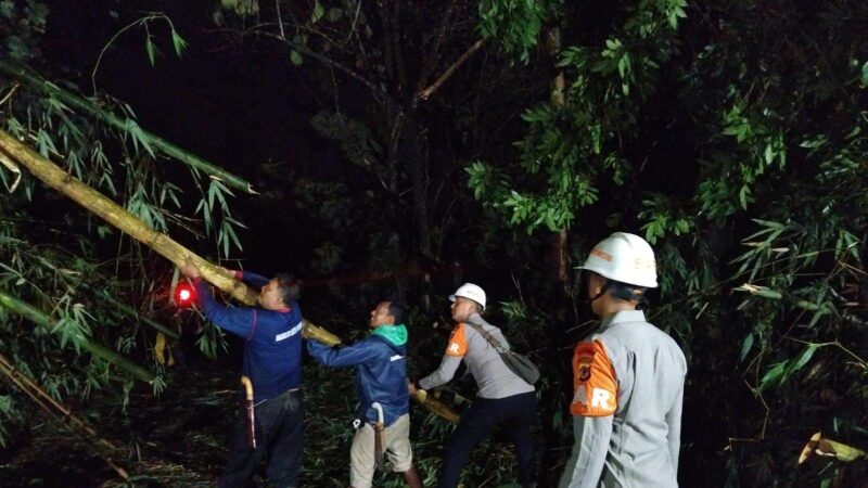 Reaksi Cepat Tim SAR Sat Brimob Polda Jabar Evakuasi Pohon Tumbang di Sumedang
