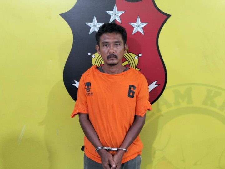 Polsek Kualuh Hulu Amankan Pengedar Sabu Beserta Barang Bukti 2,72 Gram di Desa Damuli Pekan