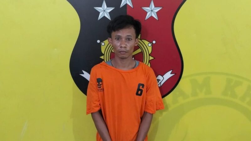 Polsek Kualuh Hulu Amankan Pengedar Narkotika Jenis Sabu di Desa Simangalam Labuhan Batu 