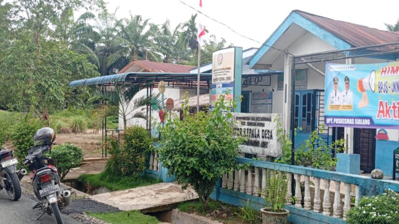 Kepala Desa Mariani Br Ginting, Membawa Perubahan dan Wujudkan Desa Marubun Ujung Jawi Mandiri dan Sejahtera