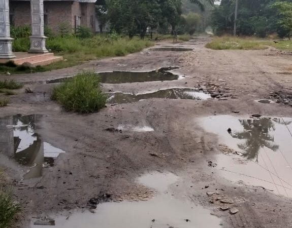 Puluhan Tahun Tidak di Aspal,Warga Dusun 4 Desa Denai Kuala, Kecamatan Panti Labu Resah Dengan Kondisi Jalan Saat Hujan Turun 