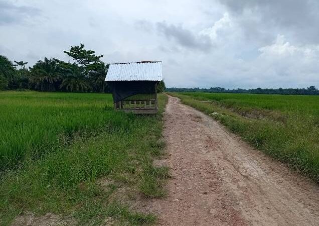 Bangunan Pondok Berdiri di Jalan Umum Desa, Buat Warga Heran