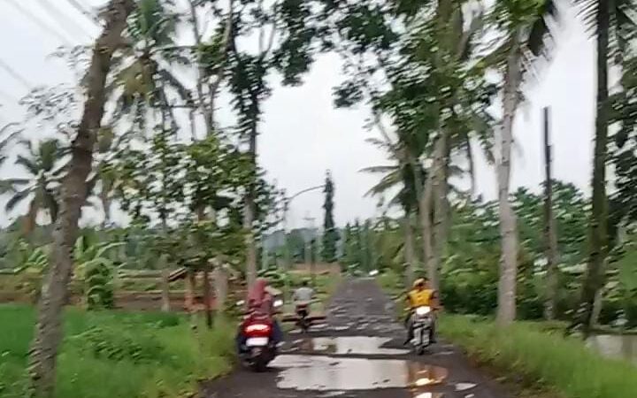 Diduga Akibat Aktivitas Truk Galian C,Jalan Dusun Pakis Desa Songgon dan Desa Parangharjo Rusak Parah