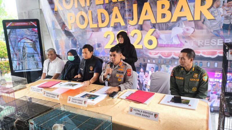 Polda Jabar Bersama BKSDA dan JSI Berhasil Ungkap Kasus Perdagangan Ilegal Satwa Dilindungi, 14 Burung Elang Diamankan