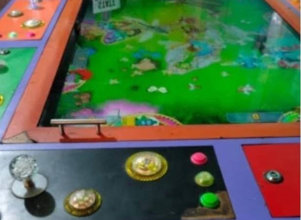 APH Diminta Tindak Tegas Lokasi Judi Tembak Ikan di Medan Utara 