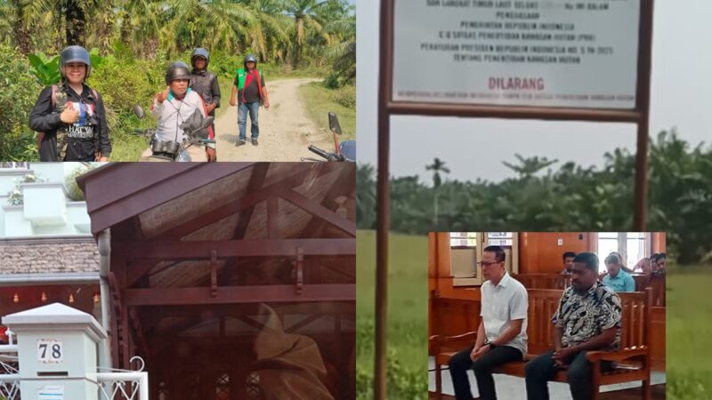 Kasus Perambahan Ratusan Hektar Hutan Mangrove Jadi Perkebunan Sawit di Tanjung Pura ,Akuang Tak Ditahan,TBS Sawit Masih Dipanen