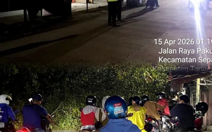 Respon Cepat Layanan 110 ,Polsek Sepatan Tangani Kontainer Tabrak Pohon di Jalan Raya Pakuhaji Sarakan Tangerang 