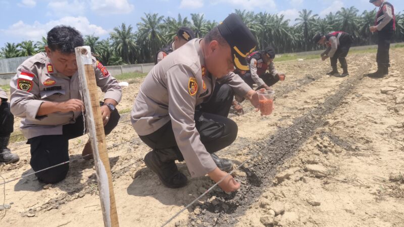 Kapolres Aceh Tamiang Manfaatkan Lumpur Sisa Banjir Untuk Mendukung Ketahanan Pangan
