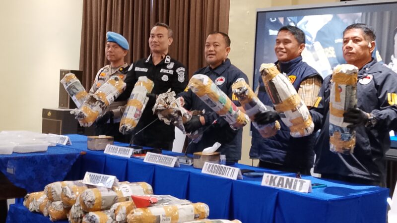 Sukses Besar! Polisi Sita 220 Kg Ganja di Empat Lawang, Ladang Seluas 20 Hektar di Bukit Barisan Terbongkar