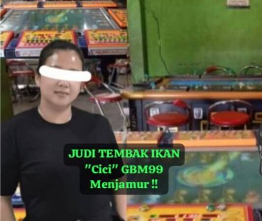 Warga Resah ,Judi Tembak Ikan Cici GBM99 Menjamur di Belawan Medan Utara 