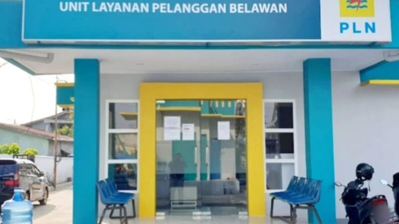 Diduga Langgar Perdir P2TL, IWO Sumut Desak Direksi PLN Copot Manager ULP Belawan